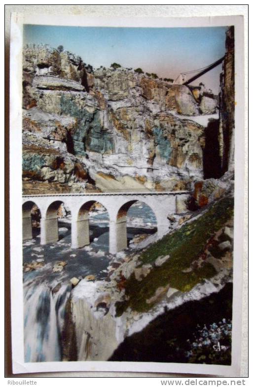 Algérie - CP N° Z380 - Constantine - CPSM/E