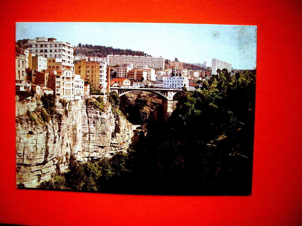 Carte postale  CONSTANTINE  vue sur le Rumel