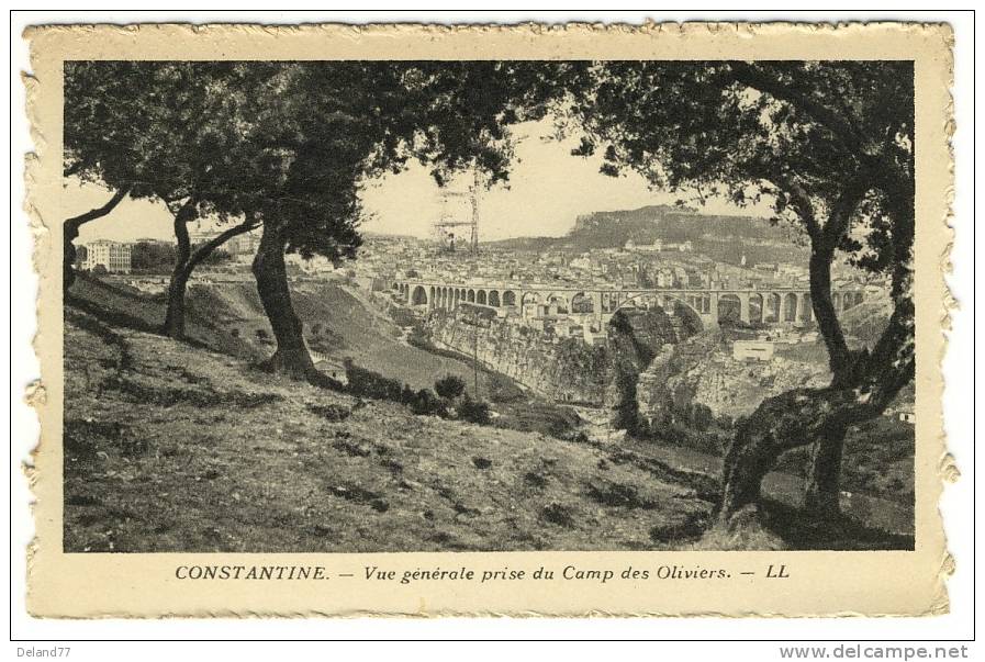 CONSTANTINE - Vue Générale Prise du Camp des Oliviers
