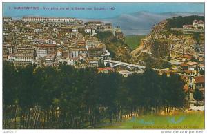 CONSTANTINE - Vue générale et la Sortie des Gorges (ND 3)