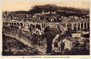 ALGERIE / ALGERIEN   Constantine  Panorama pris de la route de Setif