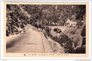 Algérie - Blida - Les Gorges de la Chiffa - Route des Gorges - Editeur CAP N° 111