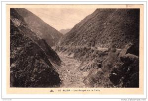Algérie - Blida - Les Gorges de la Chiffa - Editeur CAP N° 52