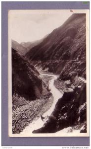 Algérie - Blida - Les Gorges de la Chiffa - Editeur Real Photo N° 143