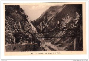 Algérie - Blida - Les Gorges de la Chiffa - Editeur CAP N° 51