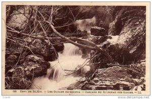 Blida CPA      Les Gorges de la Chiffa Ruisseau des Singes La grande