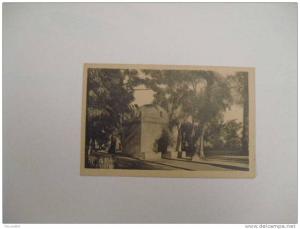 cpa BLIDA - bois sacré et Marabout