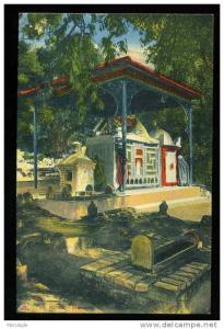 CPA colorisée BLIDA MARABOUT  de SIDI EL KEBIR / CAP