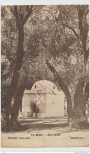 cp , ALGERIE , BLIDA , Bois Sacré