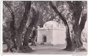 Blida (Algérie) - Le Bois Sacré - La Kouba Sidi Yacoub