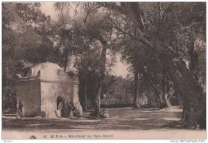 CPA BLIDALE MARABOUT AU BOIS SACRE.