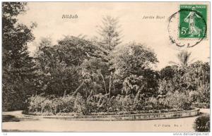 Algérie- (Blida) Jardin Bizot-  (année 1908) *PRIX FIXE