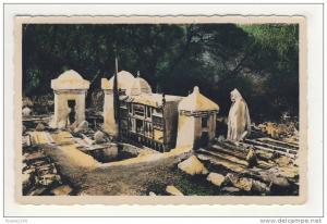 blida marabout sidi el kébir