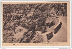 Algérie - Blida - Les Gorges de la Chiffa - La route du Ruisseau des singes - Editeur CAP N° 114