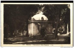 CPA - Algérie - BLIDA - Marabout Sidi-Yacoub - Neuve -