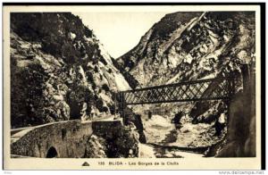 CPA - Algérie - BLIDA - Les berges de la Chiffa - Neuve -