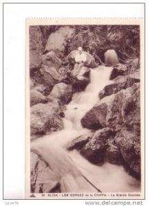 BLIDA - Les Gorges de la Chiffa  -  La Grande Cascade  - n° 93