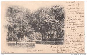 cpa de BLIDA  - jardin public vers 1900