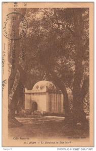 cpa de BLIDA  - le marabout du Bois sacré