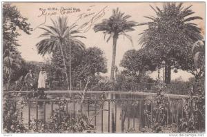 cpa de BLIDA  - le jardin Bizot
