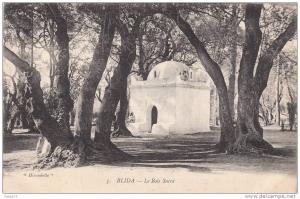 cpa de BLIDA  - le  Bois sacré