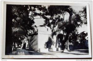 Algérie - CP N° L359 - Blida - CPSM/N