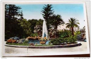 Algérie - CP N° L363 - Blida - CPSM/N