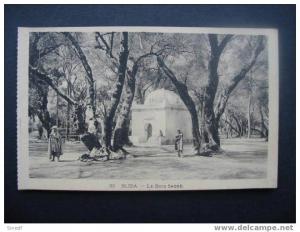 Algerie  BLIDA  le bois sacre