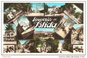 1953 SOUVENIR DE BLIDA