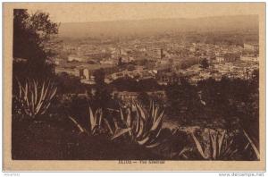 Blida, Vue Générale