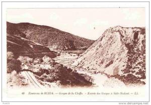 ALGERIA - 0087 Environs de Blida - Gorges de la Chiffa - Entrée des Gorges à Sidi-Madant