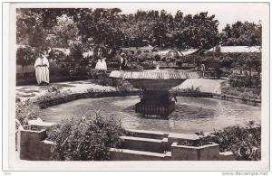 cpsm    algerie blida  jardin du marechal joffre