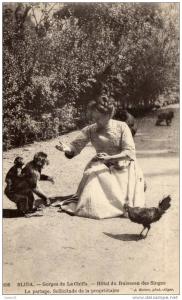 Blida . gorges de la Chiffa, Hôtel du ruisseau des singes. le partage