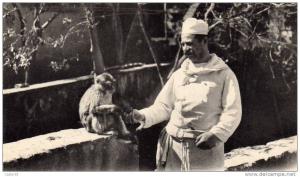 Blida . gorges de la Chiffa, un pensionnaire du ruisseau des singes