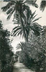 BLIDA - Jardin Bizot - Allée des Roses (CAP. 30)