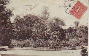 ALGERIE -- BLIDAH -- Jardin Bizot