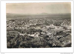 CP  4-BLIDA- Vue générale.