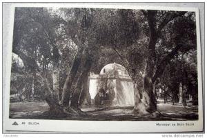 Algérie - CP N°AH380 - Blida - CPSM/N