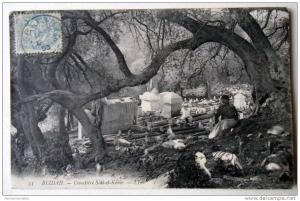 Algérie - CP N° 674G - Blidah, Cimetière Sidi El Kébir - CPA/E en 1905 (Etat)