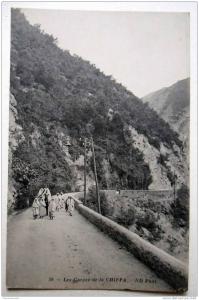 Algérie - CP N° 688G - Les Gorges de la Chiffa (Blida) - CPA/N