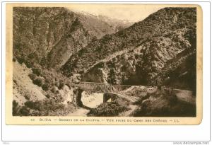 ALGERIE-Blida-Gorges de la Giffa-Vue prise du camp des chênes.