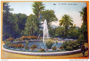 Algérie - CP N°AJ649 - Blida - CPSM/N