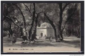 Algérie - Blida - Le Bois Sacré