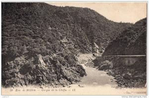 CPA - ENVIRONS DE BLIDA - GORGES DE LA CHIFFA - L. L.  - 59