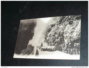 BLIDA DANS LES GORGES DE LA CHIFFA  BERGER ARABE