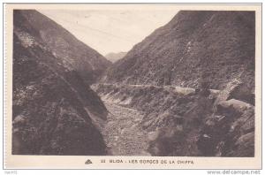 52 - BLIDA - LES GORGES DE LA CHIFFA