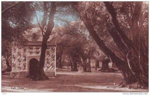 Carte postale Colorisée Algérie BLIDA Le Bois Sacré