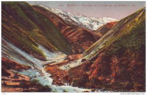 Carte postale colorisée ALGERIE BLIDA  Valléede l´Ouedet le Kebir