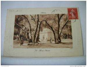 ALGERIE - BLIDA -  LE BOIS SACRE -  1909 AUTRE VUE DIFFERENTE ANIMATION (EDITION LL. PARIS)
