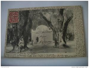 ALGERIE - BLIDA - MARABOUT DE SIDI YACOUB - 1903 ANIMATION (EDITION I. BENSIMON BLIDA N° 8)